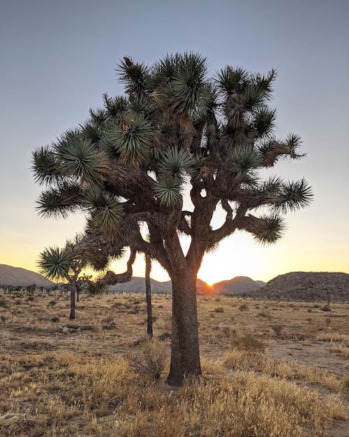 39C232F5 935C 48E7 B05A DB9DC9ADBD34